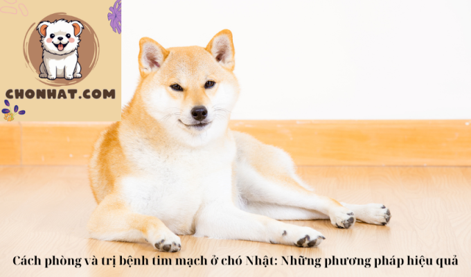 Cách phòng và trị bệnh tim mạch ở chó Nhật: Những phương pháp hiệu quả