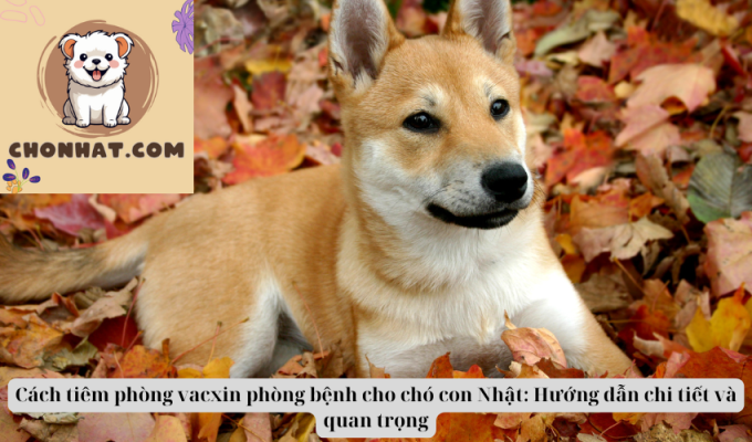 Cách tiêm phòng vacxin phòng bệnh cho chó con Nhật: Hướng dẫn chi tiết và quan trọng