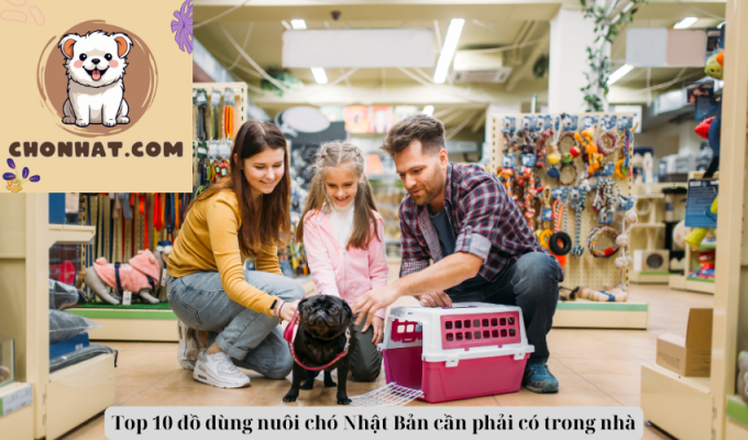 Top 10 đồ dùng nuôi chó Nhật Bản cần phải có trong nhà