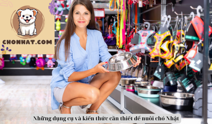 Những dụng cụ và kiến thức cần thiết để nuôi chó Nhật