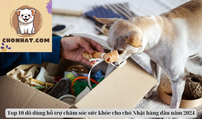 Top 10 đồ dùng hỗ trợ chăm sóc sức khỏe cho chó Nhật hàng đầu năm 2024